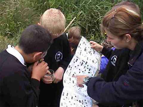 Nunsthorpe School children investigate nature